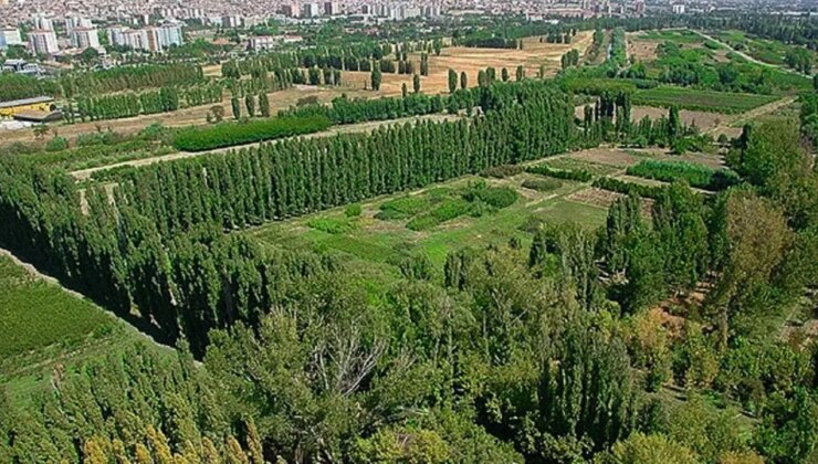 Eski Bakan Koca’nın Medipol’üne tahsis edilen arazinin altından Kenan Evren çıktı!