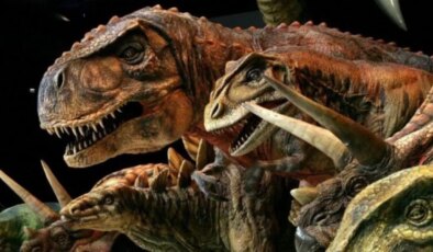Evrim tarihi değişiyor: Dinozorların kökenine dair bilinenler sarsılıyor