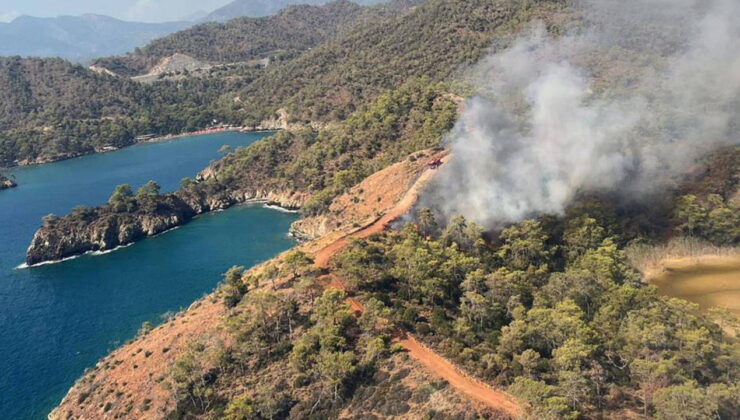 Fethiye’de koyda orman yangını!