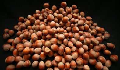 Fındık ihracatından 7 ayda 1,3 milyar dolar