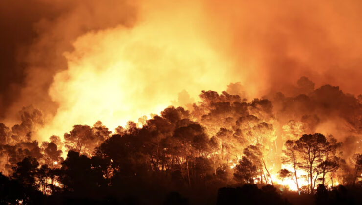 Fransa’da 16 bin hektarı küle çeviren yangın henüz kontrol altına alınamadı