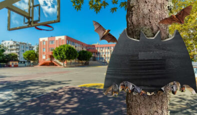 Fransa’da okul bahçelerine yarasa yuvaları kuruluyor: İşte sebebi