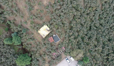 Giresunlu baba-oğul, damla sulama ile fındık rekoltesini ikiye katladı