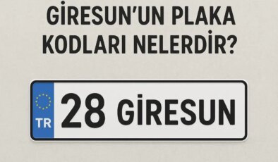 Giresun’un Plaka Kodu Nedir? Giresun’un Plaka Numarası Kaç? Giresun ve İlçelerinin Plaka Harfleri…