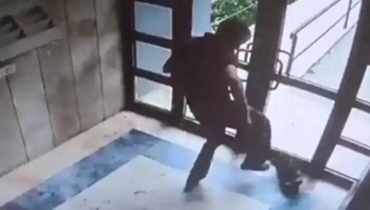 Görüntüler büyük tepki çekmişti: Başakşehir’de kediyi öldüren şahıs tutuklandı