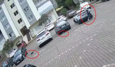 Güldüren anlar kamerada: Genç kadın yavru kedilerden köşe bucak kaçtı