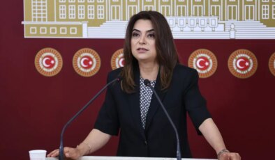 Gülistan Kılıç Koçyiğit: Demokrasi kavramı mutlaka komisyon adında geçmeli