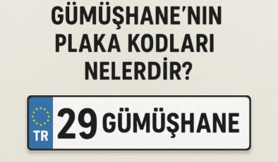 Gümüşhane’nin plaka kodu ne? Gümüşhane’nin plaka numarası kaç? Gümüşhane ve ilçelerinin plaka harfleri…