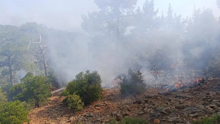 Günler önce düşen yıldırım orman yangınına neden oldu