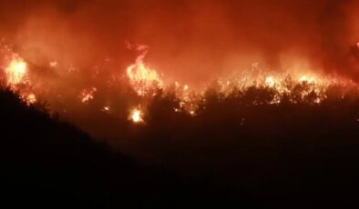 Hatay’da orman yangını: Bin 115 kişi tahliye edildi!