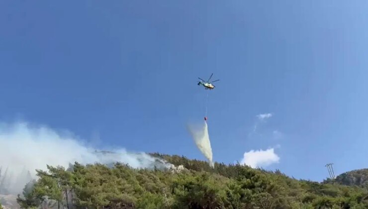 Hatay’da orman yangını: Müdahale sürüyor!