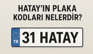 Hatay’ın plaka kodu ne? Hatay’ın plaka numarası kaç? Hatay ve ilçelerinin plaka harfleri…