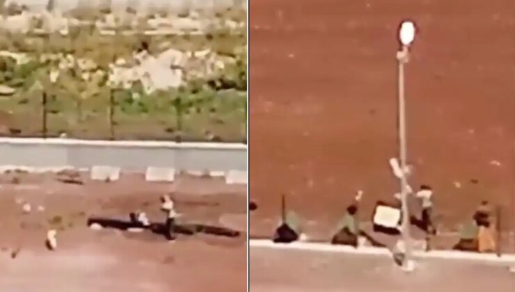 Hayvan barınağında şiddet: Personele soruşturma başlatıldı!