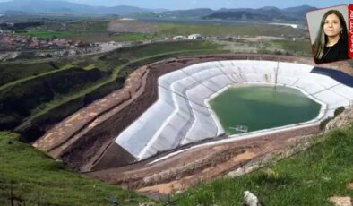 Haziran ayı itibarıyla yangın sezonunun başlamasıyla birlikte en az 243 maden projesi de onaylandı: Yıkımın nedeni belli!