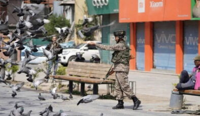 Hindistan’da güvercin beslemek yasaklandı