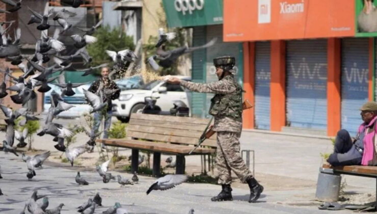 Hindistan’da güvercin beslemek yasaklandı