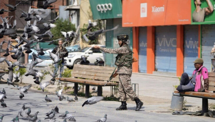 Hindistan’da güvercin beslemek yasaklandı: Sağlık krizi kapıda