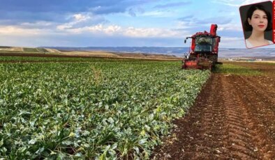 Hükümet tarım sektöründeki kriz için yeni destek yerine sayımla oyalanıyor: Hedef çiftçi değil şirketler