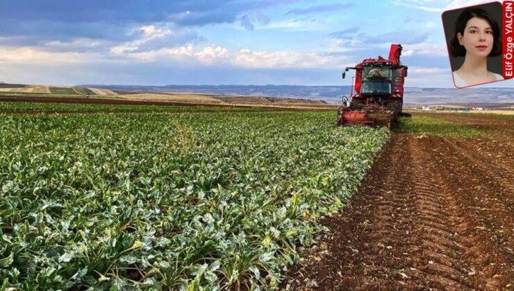 Hükümet tarım sektöründeki kriz için yeni destek yerine sayımla oyalanıyor: Hedef çiftçi değil şirketler