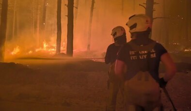 İBB İtfaiyesi, Çanakkale’ye giderken Enez’deki orman yangınına yönlendirildi