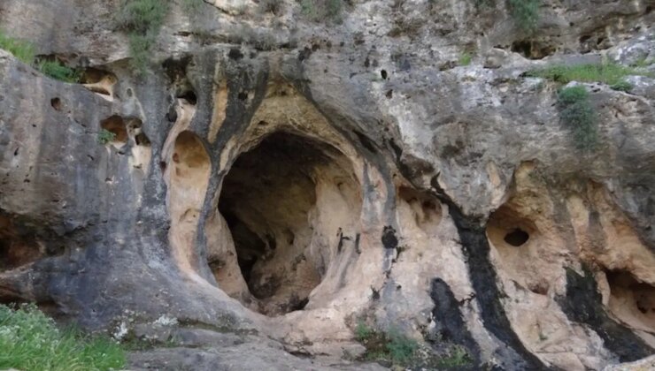 İnsanlık tarihi yeniden yazılıyor: Evrim süreci zannedildiği gibi olmayabilir
