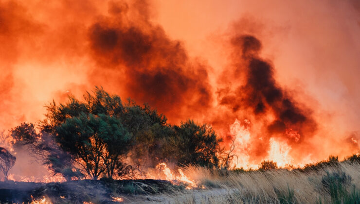 İspanya’da 344 bin hektardan fazla alan yandı