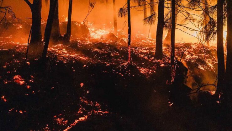 İspanya’da Ağustos’ta aşırı sıcaklar rekor kırdı