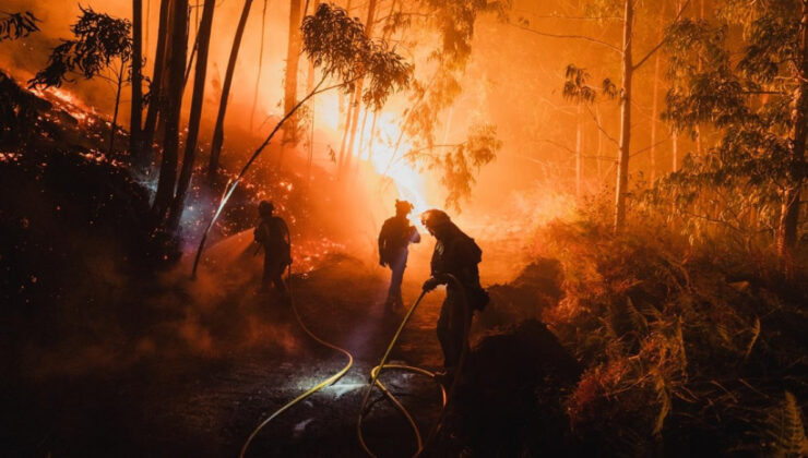 İspanya’da geçen yıla göre bu yıl 10 kat fazla ormanlık ve kırsal alan yandı