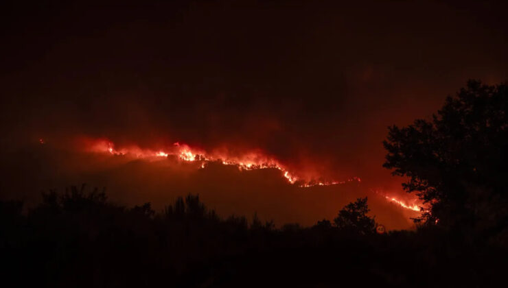 İspanya’da orman yangınları ile mücadele: Can kaybı 3’e yükseldi