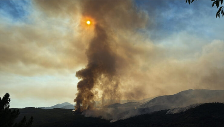 İspanya’nın güneyinde yangınlar sürüyor: 1500’den fazla kişi tahliye edildi