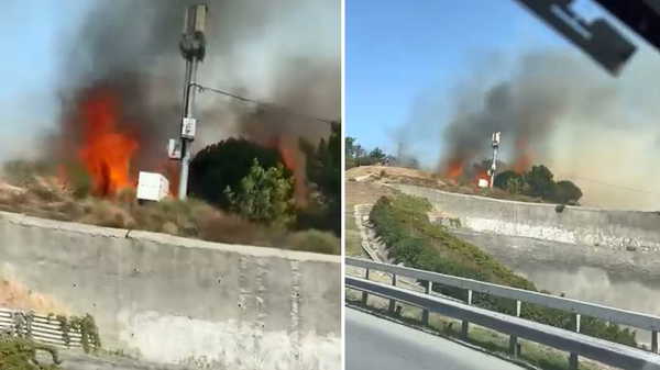 İstanbul Eyüpsultan’da panik anları: Elektrik trafosundan çıkan yangın ağaçlık alana sıçradı!