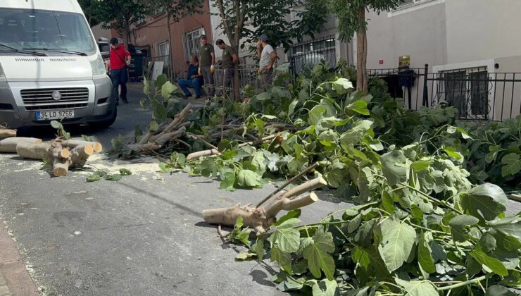 İstanbul’da fırtına hayatı olumsuz etkiledi!