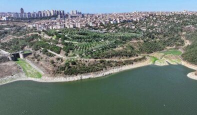 İstanbul’da son 65 yılın en kurak temmuzu yaşandı