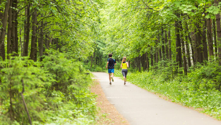İstanbul’un en iyi 3 doğa yürüyüşü rotası