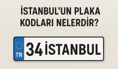 İstanbul’un plaka kodu ne? İstanbul’un plaka numarası kaç? İstanbul ve ilçelerinin plaka harfleri…