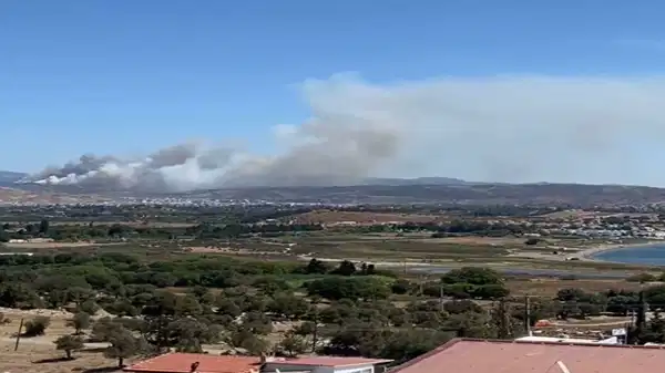 İzmir Seferihisar’da orman yangını!