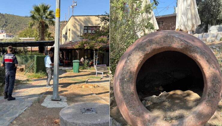 İzmir’de 10 köpek ile 5 kedi ölü bulundu: Zehirlendikleri iddia edildi