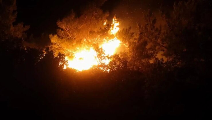 İzmir’de makilik ve ormanlık alanda yangın!