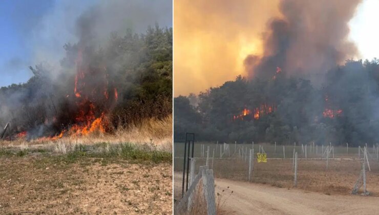 İzmir’de orman yangını: Geniş alana yayıldı!