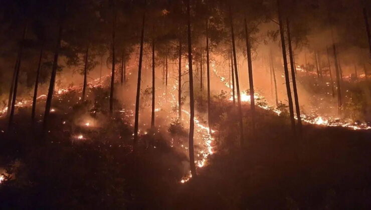 İzmir’de otlukta başlayıp ormana sıçrayan yangına müdahale sürüyor