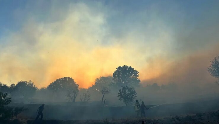 İzmir’de yangın: Bazı evler zarar gördü!