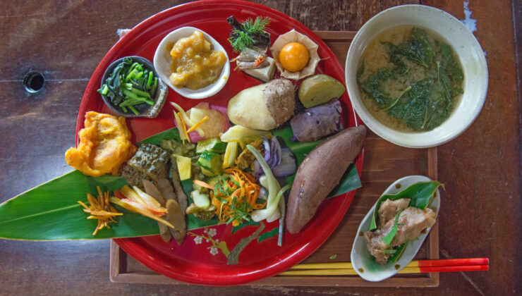 Japonların yaşam sırrı: Bunu yiyorlar ve 100 yıl yaşıyorlar…