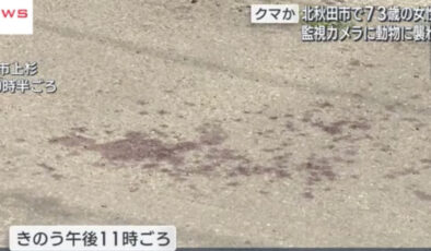 Japonya’da 73 yaşındaki kadına ayı saldırdı