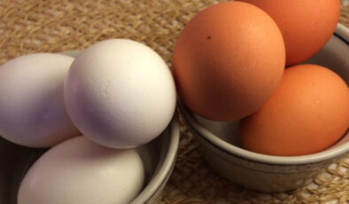 Kahverengi mi beyaz mı? Hangi yumurta daha sağlıklı?