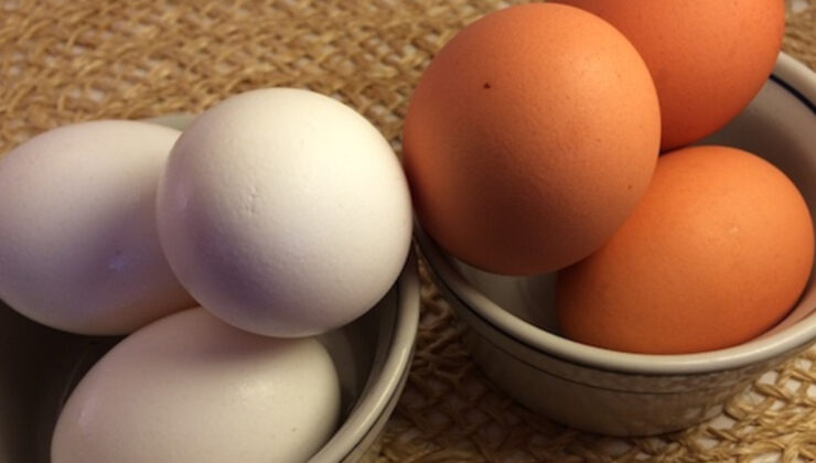 Kahverengi mi beyaz mı? Hangi yumurta daha sağlıklı?