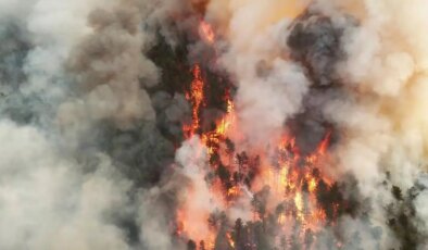 Karabük’te orman yangını: Bir mahalle boşaltıldı!
