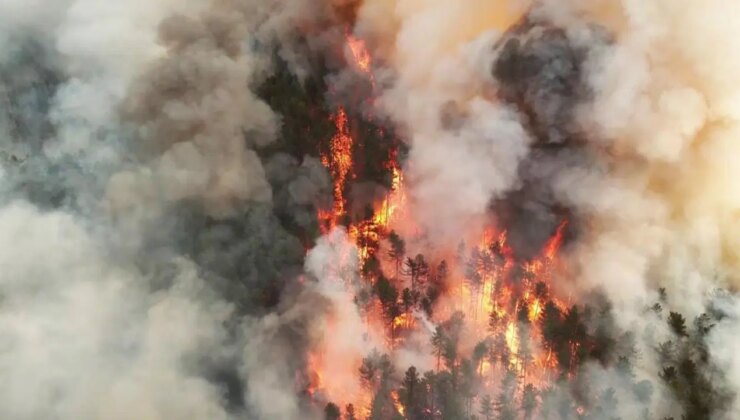 Karabük’te orman yangını: Bir mahalle boşaltıldı!