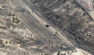 Kırıkkale’de çıkan yangında yaklaşık 15 bin dönüm arazi zarar gördü
