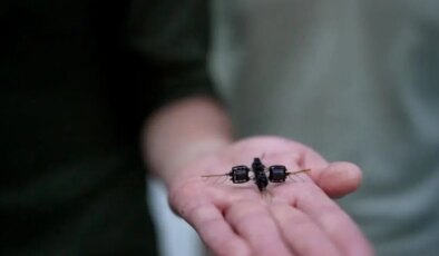 Kızıl Gezegen’de çiçek açacak: Robot arılar Mars’ta tarımın geleceğini değiştirebilir