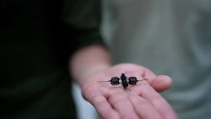 Kızıl Gezegen’de çiçek açacak: Robot arılar Mars’ta tarımın geleceğini değiştirebilir